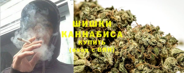 гашик Балахна