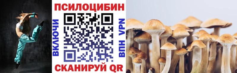 Купить закладки  Пересвет  Псилоцибиновые грибы MAGIC MUSHROOMS 